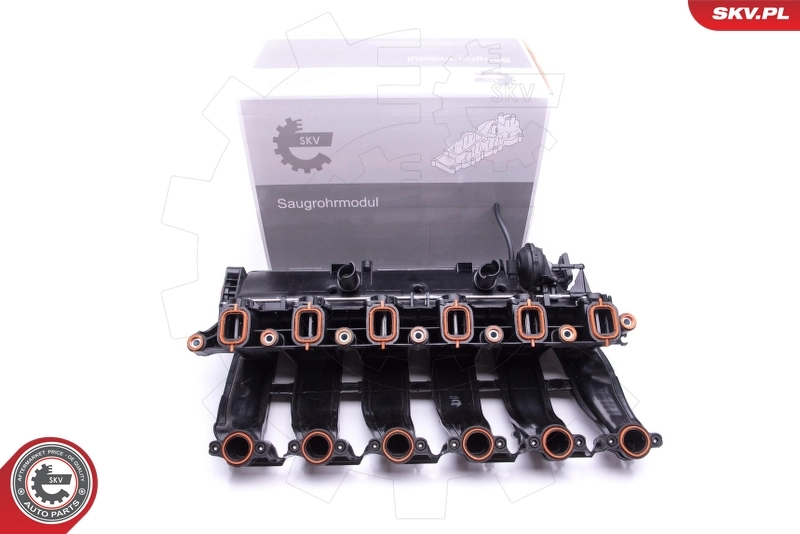 Intake Manifold Module